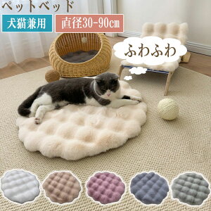 ~` 􂦂 g \ ۉh QSnQ ʋC   _炩 NbV ybgNbV 킢 }b