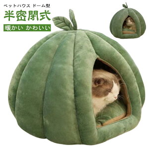 􂦂 Q ۉ Q 킢 g ~ ی^  LbgnEX ȒP ^ pxbh h[^ ybgp