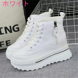 V C ^ ̎q Xj[J[ fB[X JWA [Jbg  Cq[ fB[XXj[J[ 10cmq[