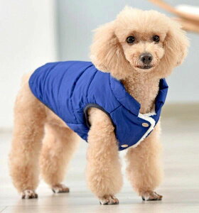 E y ʋC U 킢  hbOEFA g {A ȓ ^ ^ R[g xXg h ~ WPbg