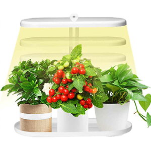 ؍͔|Z ȃGl ƕs ~ ~J k͔|Zbg Cg A 琬Cg A琬 ϗtA A琬 LED 