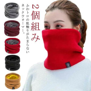 AEghA }t[ EH[}[ h oCNEGA ۉ fB[X Y  2g݁IjbglbNEH[}[