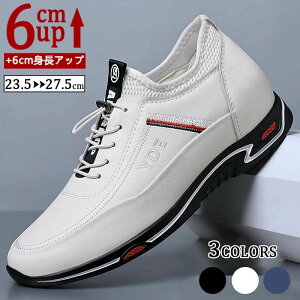 gup q[Abv up6cm gAbv6cm Xj[J[ rWlXV[Y {v  Y