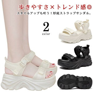 T }WbNe[v xN T_ EFbW\[ r  Xj[J[T_ X|[cT_ T_ fB[X