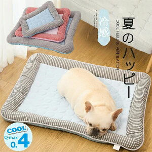  N[ ⊴ Ђ ΍ ybgxbh Lxbh hbg Ђ  L  xbh ybg ڐG⊴ N[ t 