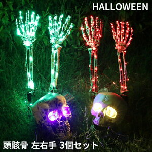 H XPg W d 40d LEDCg   ͌^ hN 3_Zbg E [  nEB