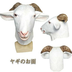 j[N  A   tt cm p F  蕨 ϐg  ebNX M̂ }XN Rr  