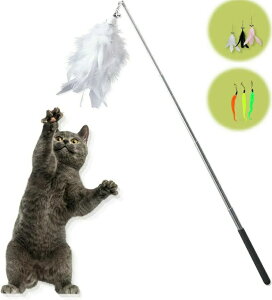 ^s Ȃ₩ Lт H Zbg Lт ނ Lpi V ˂ L lRp ˂ L L炵