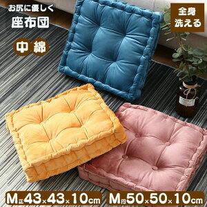 ې a ItBX`FA[p `FANbV ֎q QNbV  ^ ی^  tANbV zc