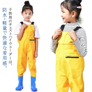  EF[_[ j̎q h ϖՐ vCEFA `FXgnCEF[_[ EF[_[ tC EF[_[ y ̎q