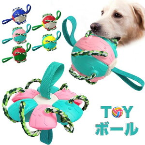 P mߋ o pet ybg  {[ ނ hbOgC 邨 Vїp 