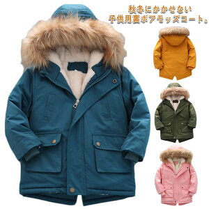 ȃWPb ~ bYR[g AE^[ ~^[R[g {AR[g R[g LbY bYR[g tFCNt@[t j̎q