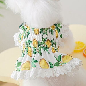 ؍ m pXJ[g ybg ybg    U o u₩ ^ ybgEFA C