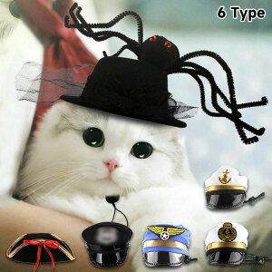  lR L ybgpi  @g Be ʐ^ ւ RX`[  ߑ ڂ Halloween ȒP Cxg o