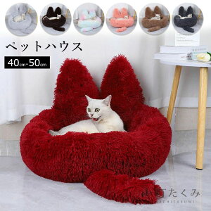 50cm 40cm ی^ ʔNKp 薰 ~ [΍ ۉh g ybgnEX Lpӂybgxbh E