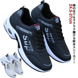 hXj[J[ V[Y h ʋ Ռz RC ʊw  L J̓ C Xj[J[  EH[L [Jbg Y 