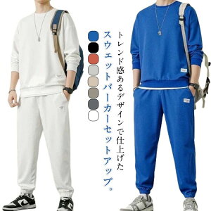 2_Zbg t p[J[ 傫TCY [EFA  ㉺ ؍ Opc W[W H~ JWA ZbgAbv