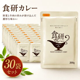 日本食研 食研カレー 200g×30袋 業務用 レトルトカレー 中辛 牛肉と玉ねぎのコク 本格スパイスカレー