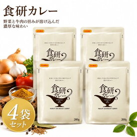 日本食研 食研カレー 200g×4袋 業務用 レトルトカレー 中辛 牛肉と玉ねぎのコク 本格スパイスカレー