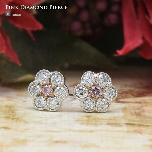 sN_Ch sAXysN _CzysN_Czy̓ v[g Mtg j WG[ a LO NX}Xz