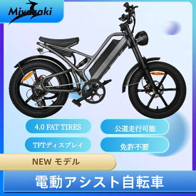 送料無料 E-bike Miyazaki G63 ファットバイク 電動アシスト自転車 マウンテンバイク 750W 48V20AH迫力の極太タイヤ20×4.0 スノーホイール 8段変速