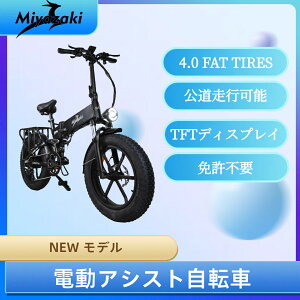 y^F擾izy{PSE擾izyƋsvEs\z E-bike Miyazaki@PRO t@bgoCN dAVXg] }EeoCN 750W 48V17.5AH͂̋ɑ^C20×4.0܂肽ݎ]
