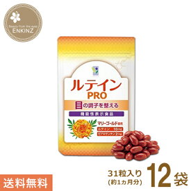 ルテインPRO 12袋 わかさ生活 サプリメント ルテイン ゼアキサンチン 亜鉛 DHA サプリ 機能性表示食品 送料無料 ポスト投函商品