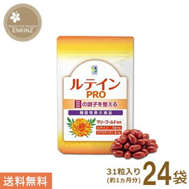 ルテインPRO 24袋 わかさ生活 サプリメント ルテイン ゼアキサンチン 亜鉛 DHA サプリ 機能性表示食品 送料無料 ポスト投函商品