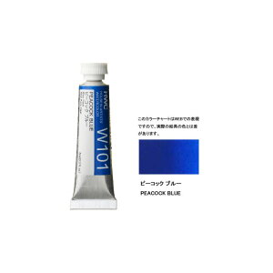 ʊG2i5mljW101 F s[RbNu[