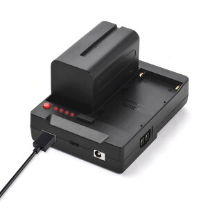 Acogedor NP-F �_�~�[�o�b�e���[ - V-Lock V �}�E���g�v���[�g�ANP-F970 F750 F550 �ƌ݊����̂��� NP-F �o�b�e���[�A�_�v�^�[�v���[�g�AUSB-A/Type-C/DC/D-TAP �o�͕t��