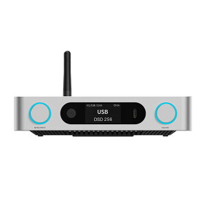 FIIO BR15 R2R FIO-BR15R�y���{�������K�i�E�V���A���i���o�[�t�z Bluetooth��M�@�\���� USB DAC (�V���o�[)
