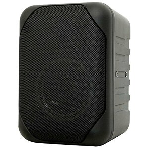 MASSIVE �Ɩ��pBGM�X�s�[�J�[ AV-635II (��)