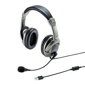 �T�����T�v���C(Sanwa Supply) USB�w�b�h�Z�b�g MM-HSU10GMN