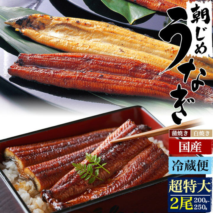 楽天市場 領収書発行可能 国産 朝じめ うなぎ 2尾セット 0 250g 国産 うなぎ 通販 うなぎ おすすめ うな重 おすすめ うなぎ 蒲焼 おすすめ ひつまぶし うなぎ お取り寄せ おすすめ うなぎ 取り寄せ おすすめ うなぎ ギフト おすすめ 国産 うなぎ おすすめ