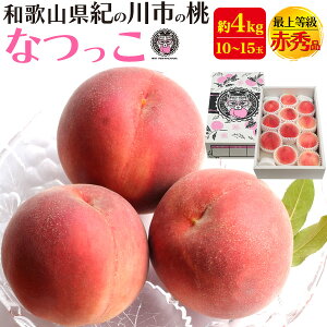 ���i�摜