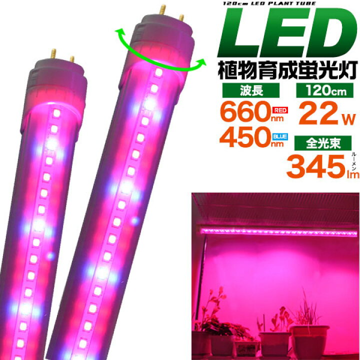 楽天市場 領収書発行可 植物育成 Led蛍光灯 1cm G13 22w 345lm アクアリウム 水槽 海藻 水草 野菜 室内 温室 植物 Led 植物育成ライト 植物ライト 植物育成 植物用ledライト 植物照明 観葉植物ledライト Led光合成 光合成 植物が育つライト 植物工場 野菜 インテリア