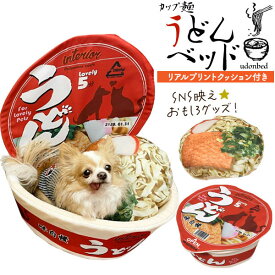 領収書発行可 おもしろ 犬 猫 用 カップ麺 うどん ペットベッド ネコベッド イヌベッド イヌ ベッド 猫 ペット ハウス 猫用 犬ハウス ハウス ねこ 猫 ベッドドーム ベッド ドーム ネコハウス ネコ おすすめ かわいい 可愛 クッション ふとん こたつ 面白 SNS 映え