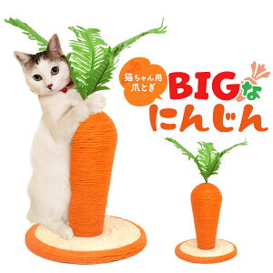 y̎sz Lp BIG ɂ񂶂 ܂Ƃ 24×26cm ܂Ƃ _{[ L  Ƃ L̒܂Ƃ ܌ ߂Ƃ _{[ i{[ 킢  ܌i{[ L̒܂Ƃi{[ L̒