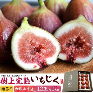  C`WN ԉ   TԂ  䒆  LO 蕨  蕨  LO j Mtg  j җj Êj j oYj 