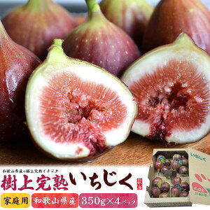  C`WN ԉ   TԂ  䒆  LO 蕨  蕨  LO j Mtg  j җj Êj j oYj 