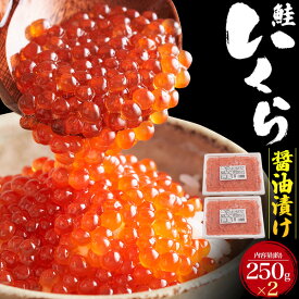 いくら 醤油漬け 500g (250g×2パック) 白鮭 チャムいくら ギフト | イクラ 海鮮丼 手巻き寿司 お中元 父の日 内祝い 出産祝い 結婚祝い 贈答 お返し プレゼント お取り寄せ グルメ