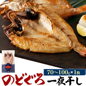 �̂ǂ��� ��銱�� 1�`5�� 1���������70�`100g �A�J���c ���� | ���{�C�Y �� ���Ă� ������ �O���� ���� �M�t�g �v���[���g ���j�� �a���� ������ ���Ε� �̂��Ή�