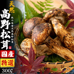  Y ܂ }c^P 쏼 a̎RY I ڂ ڂ H  yr VՂ 񂹃O p 󏭐H VR̂  O L