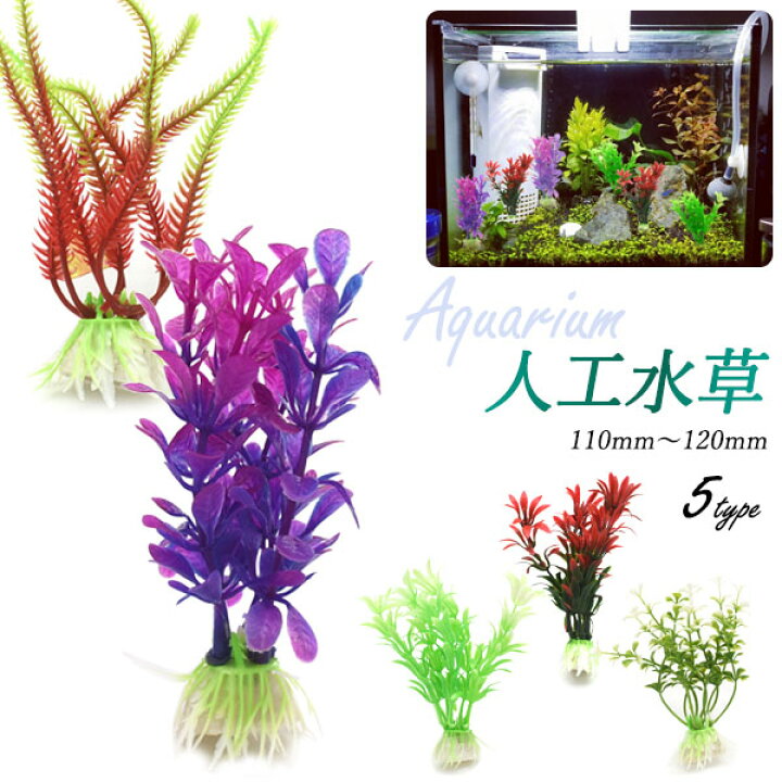 楽天市場 人工水草 1袋2個入り Sサイズ アクアリウム 熱帯魚 水槽 カラフル 円網堂