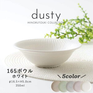 みのる陶器 【dusty】 ダスティ 中鉢 おしゃれ サラダボウル 北欧 煮物鉢 カフェボウル シリアルボウル 洋食器 和食器 美濃焼 16.5cm IRODORI