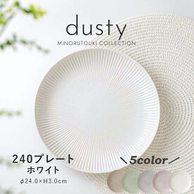 みのる陶器 【dusty】 ダスティ 大皿 おしゃれ 取り皿 パスタ皿 盛り付け皿 北欧 和食器 洋食器 美濃焼 24cm