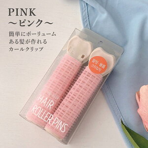 OJ[[ Nbv O J[[ QȂ  wAJ[[ ؍  傫 ֗ObYEG y ȒP OJ[ 芪J[[ X^CO ނ 2{Zbg 500~|bL