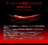 【送料無料】コカレロネグロ700mlリキュール29度COCALERO正規品