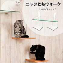 楽天市場】キャットタワー 見晴らし台の通販