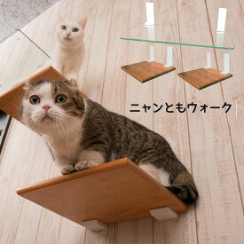 ニャンともウォーク 3点セット ナチュラル ガラス幅600×250mm 木棚300×250mm 耐荷重15kg 見晴らし台 棚板 足場 ステップ キャットウォーク キャットタワー 猫家具 透明 強化ガラス DIY 壁 猫壁ウォーク